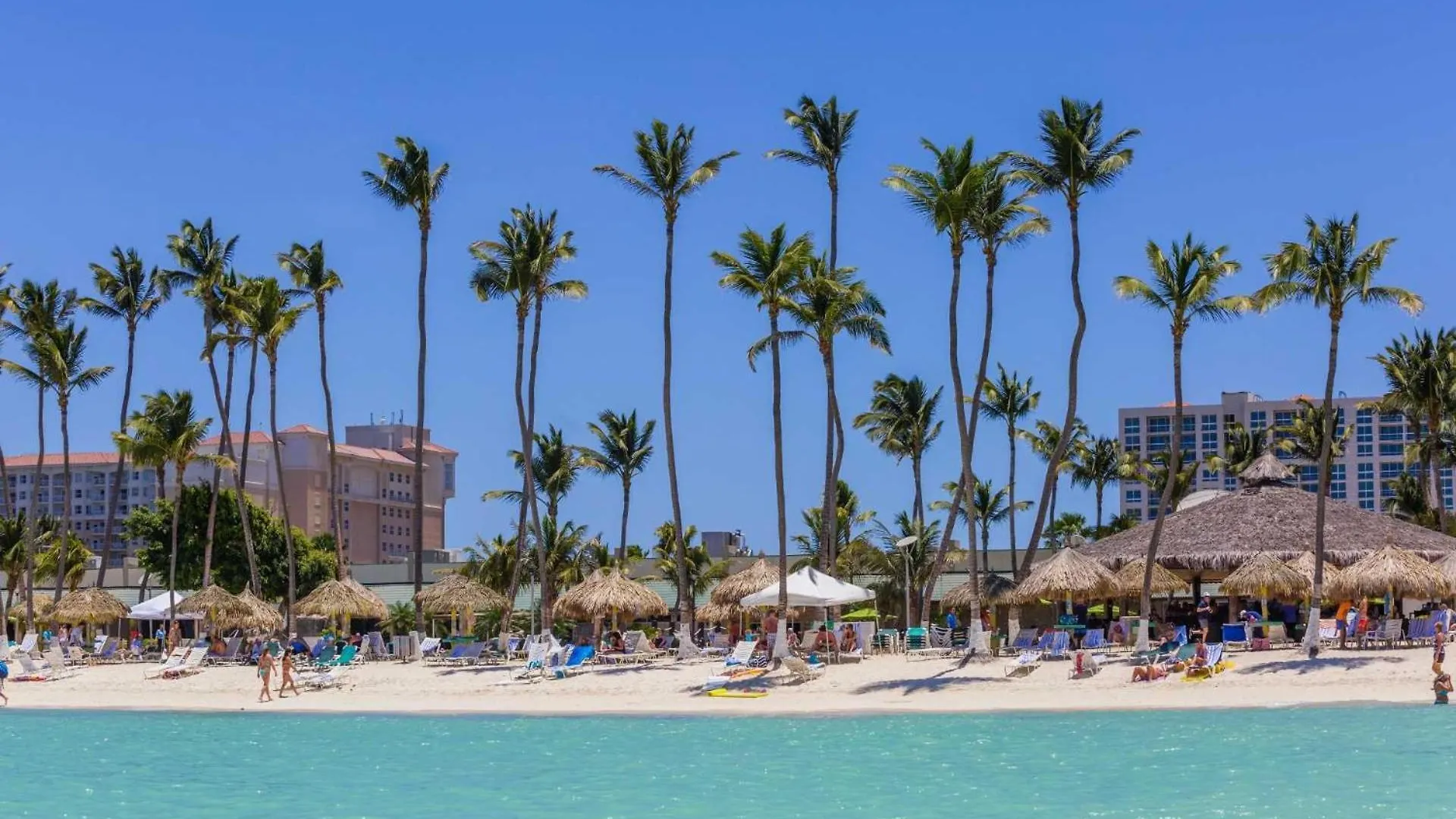 Pc314 - Pool View - Couple Or Family With Kids - 1Br Villa Palm Beach 0*,  Aruba